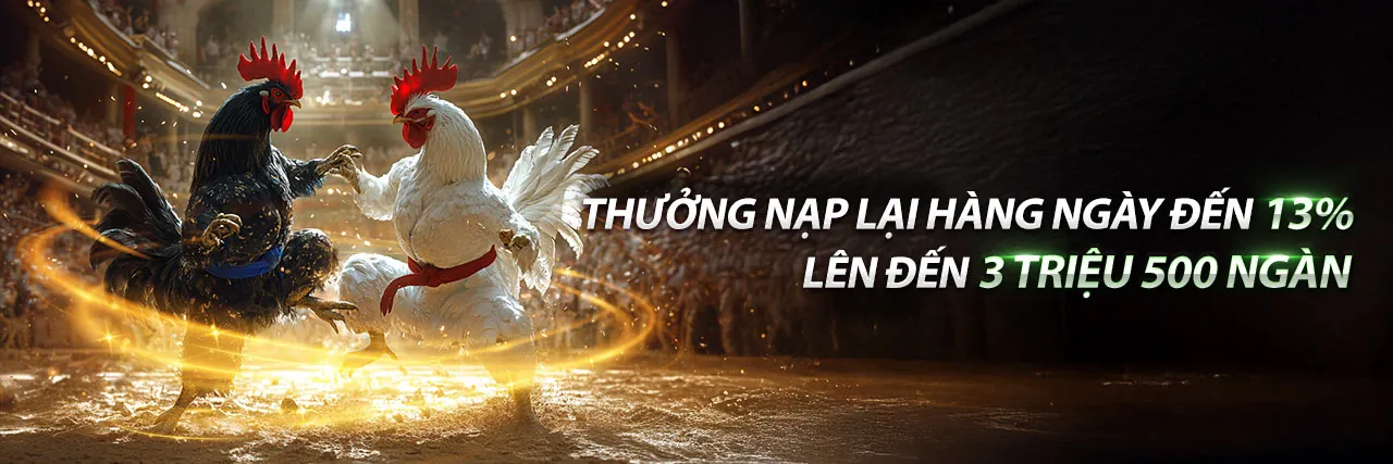 Ứng dụng di động 888casino nhà cái