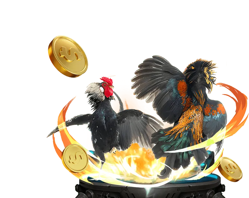 Ưu đãi đá gà 888casino